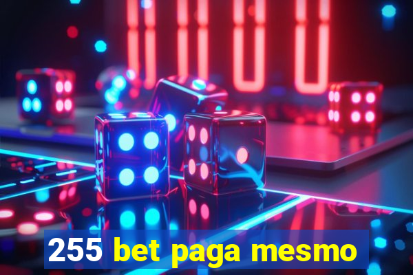 255 bet paga mesmo